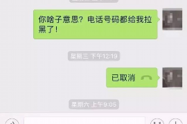 章丘为什么选择专业追讨公司来处理您的债务纠纷？